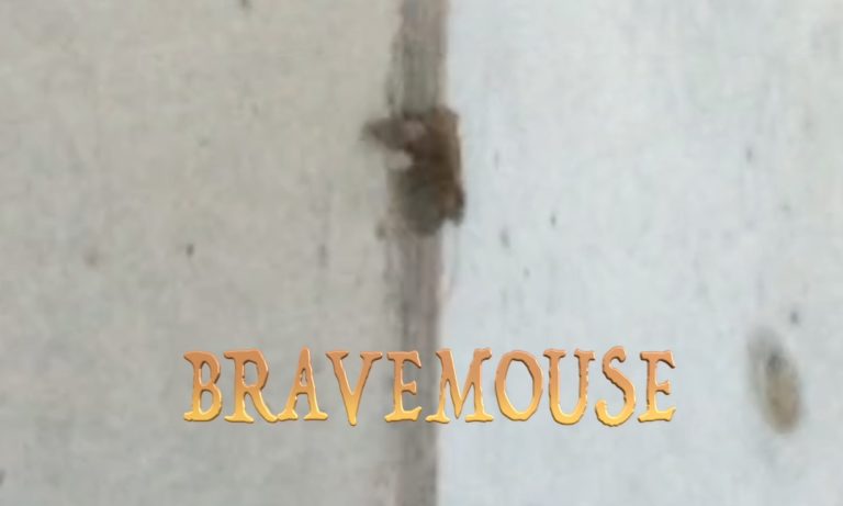 BraveMouse