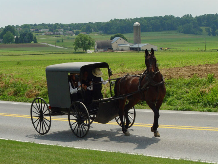 Amish Build Tiny Homes for Hurricane Victims