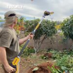 17964529161049791_toolrev