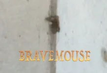 BraveMouse