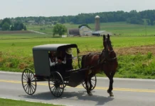 Amish Build Tiny Homes for Hurricane Victims Lancaster County Amish 03 1