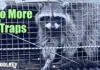 How to Get Rid Of Raccoons: Orbit Yard Enforcer