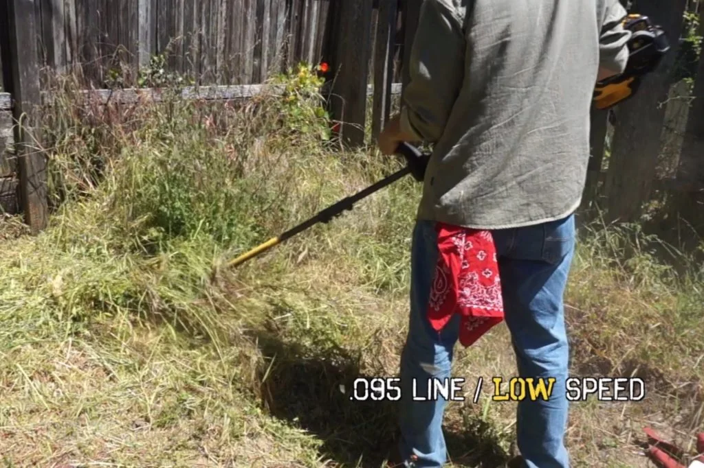 DeWalt FlexVolt trimmer cutting tall grass DeWalt FlexVolt string trimmer cutting tall grass with .095 line at low speed