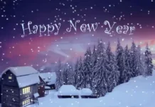 Happy New Year 2025!