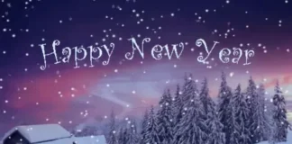 Happy New Year 2025!